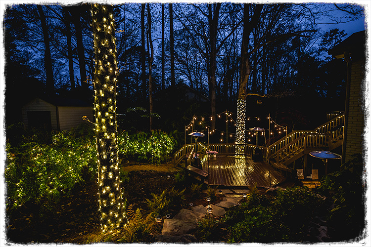 Wedding lights in backyard