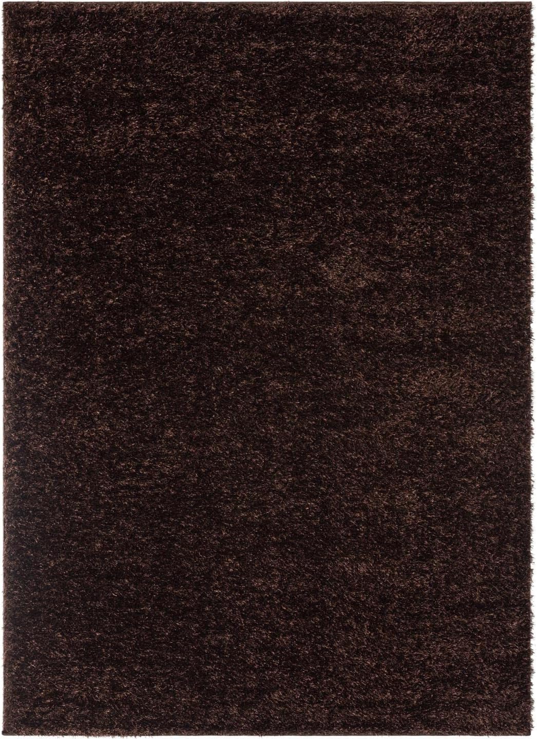 Brown Rug (5'x7')