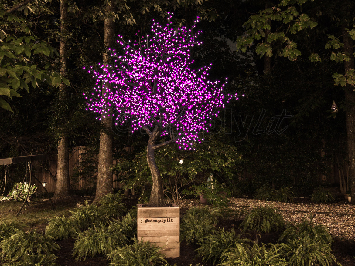 9' LED Cherry Tree, Purple